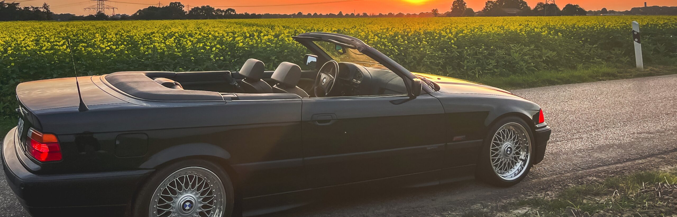 E36 cover image